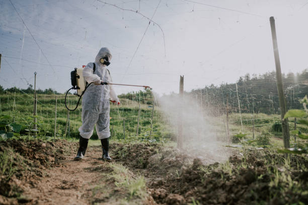 Pest Prevention Services in Lebanon, MO