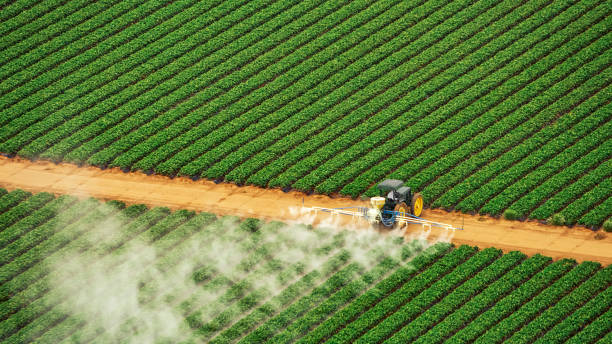 Best Pest Removal Services  in Lebanon, MO