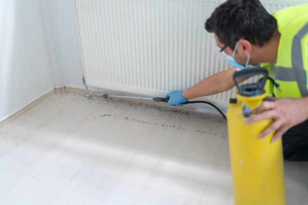 Best Commercial Pest Control Services  in Lebanon, MO